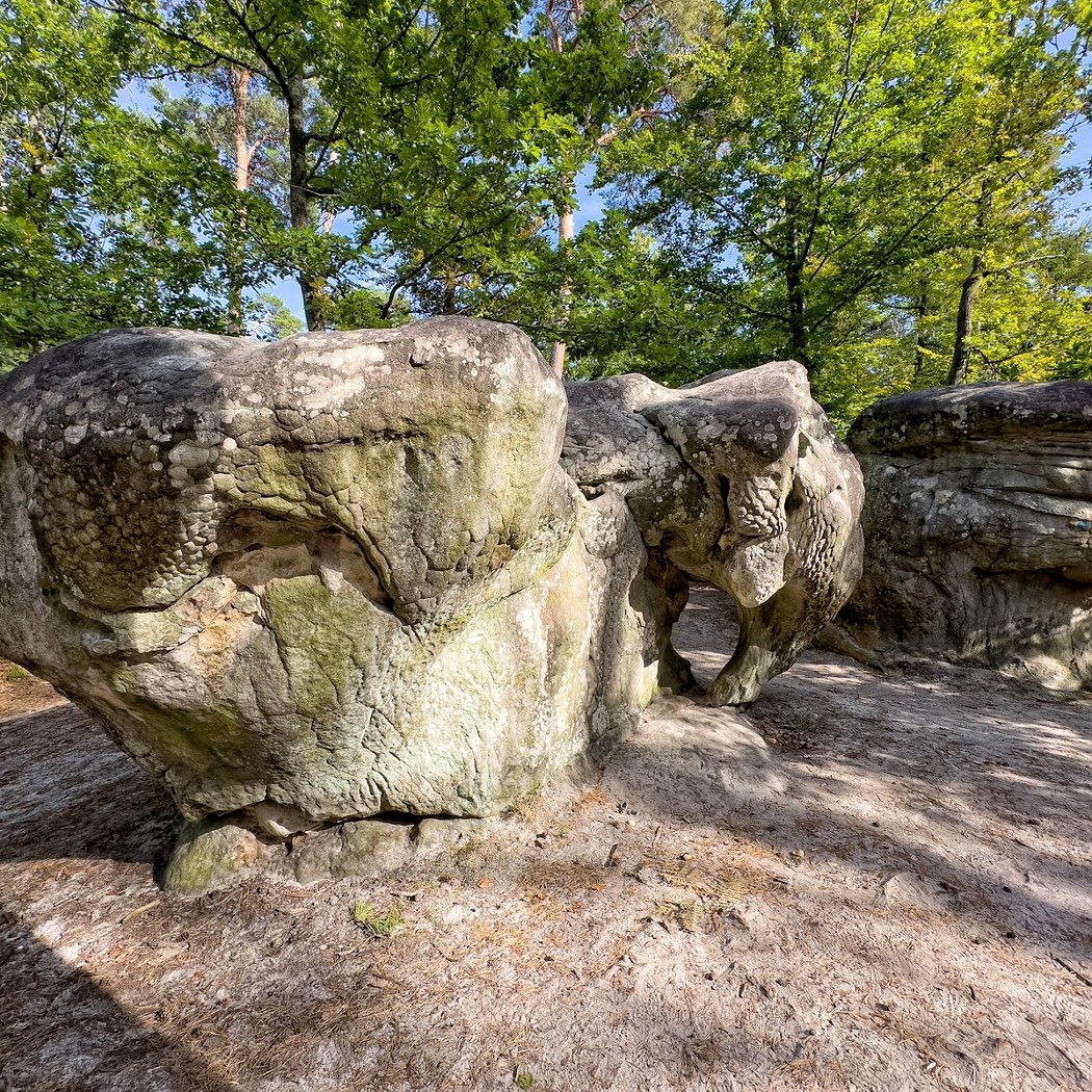 The Elephant Stone 1